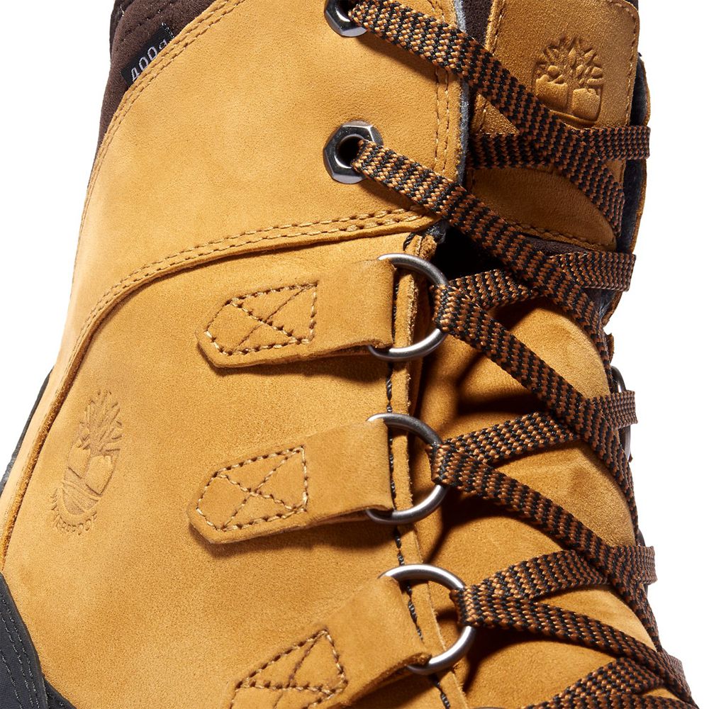 Ghete Iarna Timberland Barbati Maro/Negrii - Chillberg Insulated - Romania - QKSGNH015